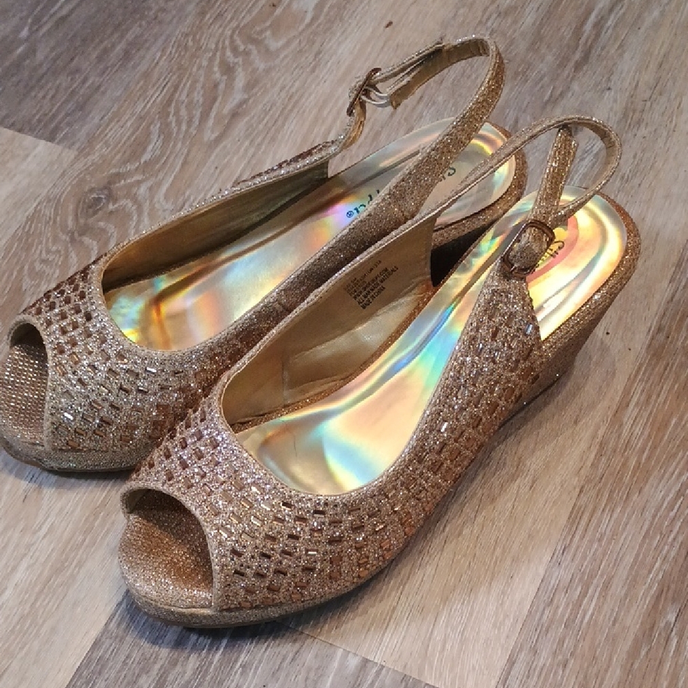 Silver Slipper Gold Slingback Wedge Sandals